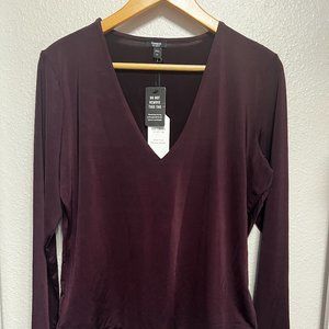 NWT Express long sleeve v-neck top blouse